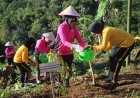 Gerakan Tanam Pohon, Polres Bondowoso Hijaukan Bukit Bintang